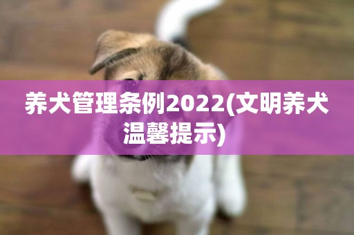 養犬管理條例2022(文明養犬溫馨提示) 