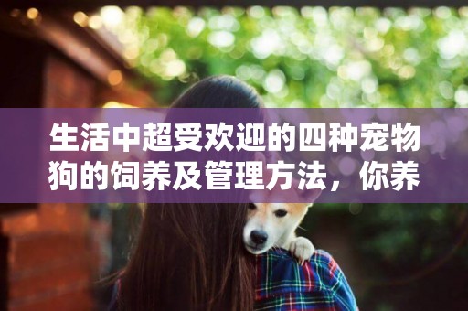 生活中超受歡迎的四種寵物狗的飼養及管理方法，你養過哪幾個 