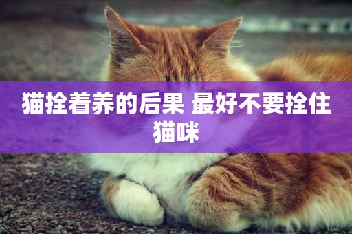 貓拴著養的后果 最好不要拴住貓咪