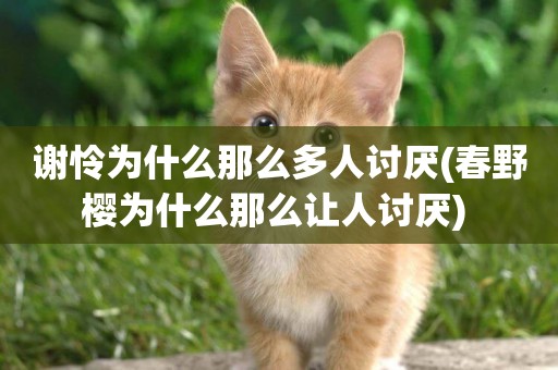 謝憐為什么那么多人討厭(春野櫻為什么那么讓人討厭) 