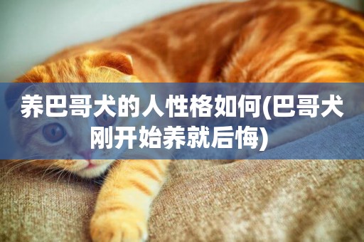 養巴哥犬的人性格如何(巴哥犬剛開始養就后悔) 