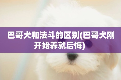 巴哥犬和法斗的區別(巴哥犬剛開始養就后悔) 