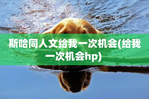 斯哈同人文給我一次機會(給我一次機會hp) 