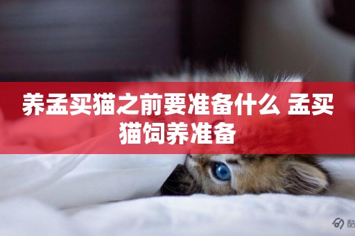 養孟買貓之前要準備什么 孟買貓飼養準備