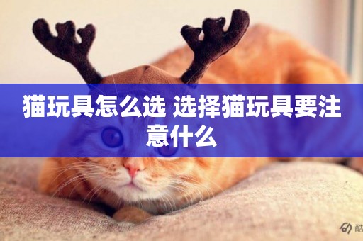 貓玩具怎么選 選擇貓玩具要注意什么
