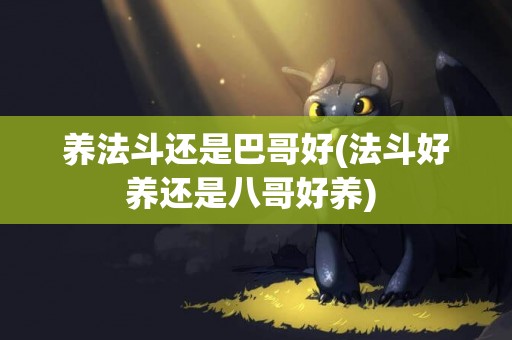 養法斗還是巴哥好(法斗好養還是八哥好養) 