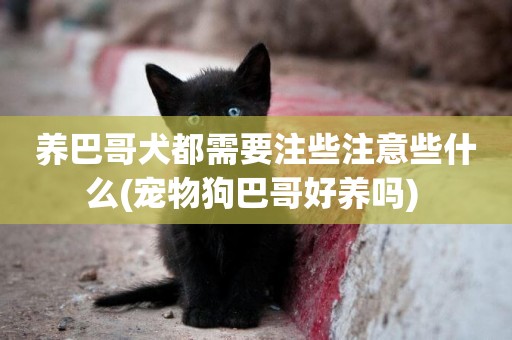 養巴哥犬都需要注些注意些什么(寵物狗巴哥好養嗎) 