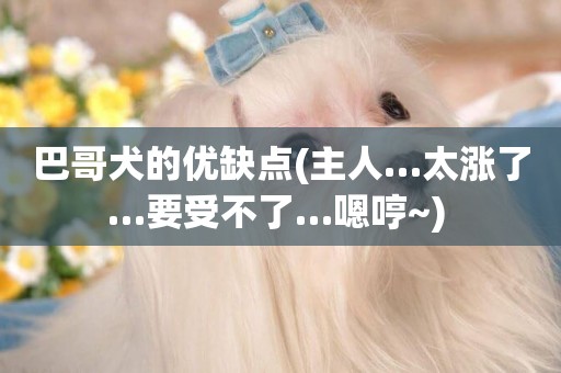 巴哥犬的優缺點(主人…太漲了…要受不了…嗯哼~) 