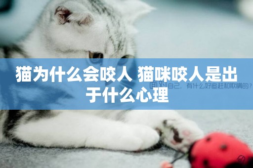 貓為什么會咬人 貓咪咬人是出于什么心理