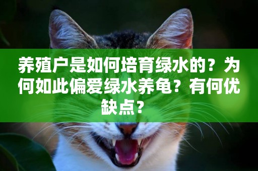 養殖戶是如何培育綠水的？為何如此偏愛綠水養龜？有何優缺點？ 