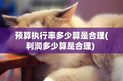 預算執行率多少算是合理(利潤多少算是合理) 