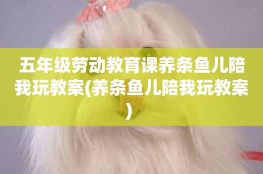五年級勞動教育課養條魚兒陪我玩教案(養條魚兒陪我玩教案) 