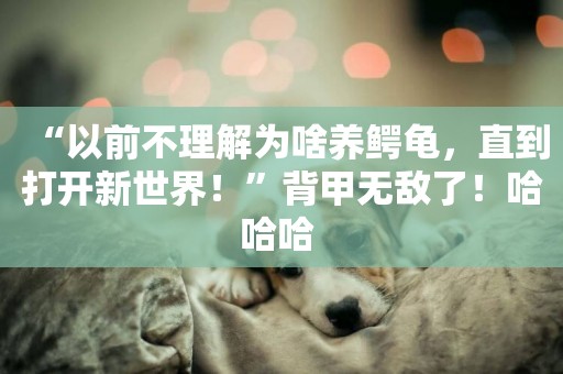 “以前不理解為啥養鱷龜，直到打開新世界！”背甲無敵了！哈哈哈 