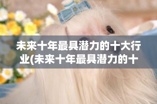 未來十年最具潛力的十大行業(未來十年最具潛力的十大專業) 