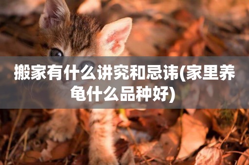 搬家有什么講究和忌諱(家里養龜什么品種好) 