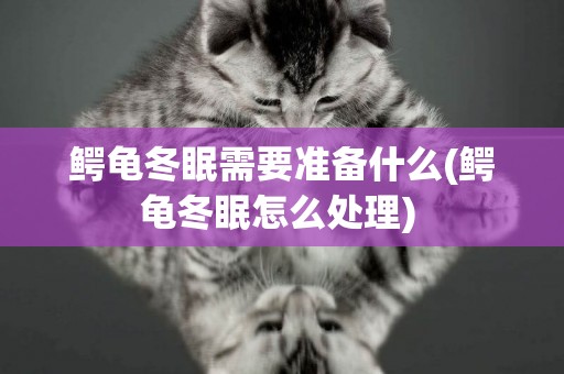 鱷龜冬眠需要準備什么(鱷龜冬眠怎么處理) 