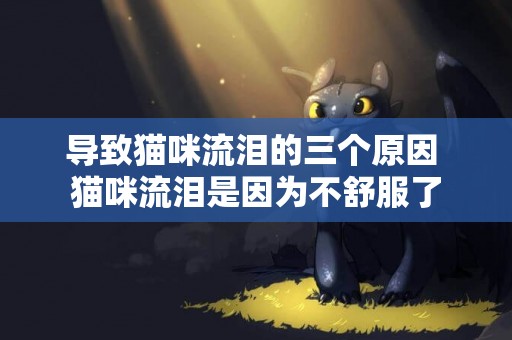 導致貓咪流淚的三個原因 貓咪流淚是因為不舒服了 導致貓咪流淚的三個原因 貓咪流淚是因為不舒服了
