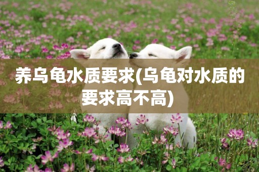 養烏龜水質要求(烏龜對水質的要求高不高) 