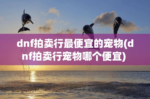 dnf拍賣行最便宜的寵物(dnf拍賣行寵物哪個便宜) 