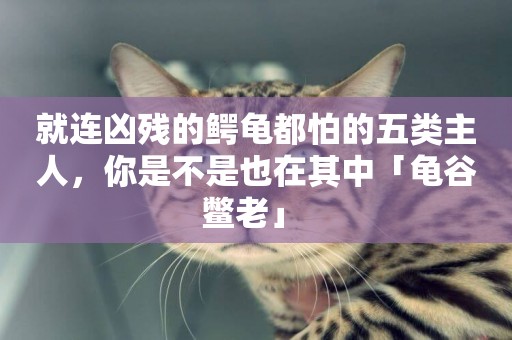 就連兇殘的鱷龜都怕的五類主人，你是不是也在其中「龜谷鱉老」 