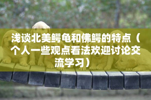 淺談北美鱷龜和佛鱷的特點（個人一些觀點看法歡迎討論交流學習） 