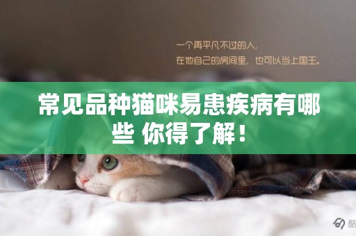 常見品種貓咪易患疾病有哪些 你得了解！