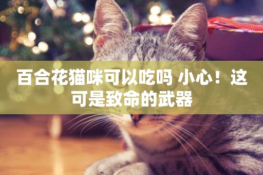 百合花貓咪可以吃嗎 小心！這可是致命的武器