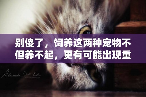 別傻了，飼養這兩種寵物不但養不起，更有可能出現重大事故 