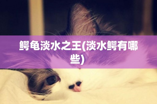 鱷龜淡水之王(淡水鱷有哪些) 