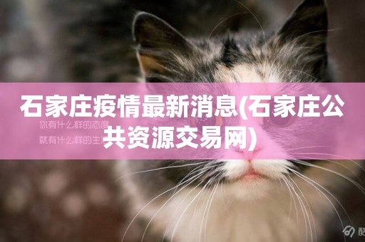 石家莊疫情最新消息(石家莊公共資源交易網) 