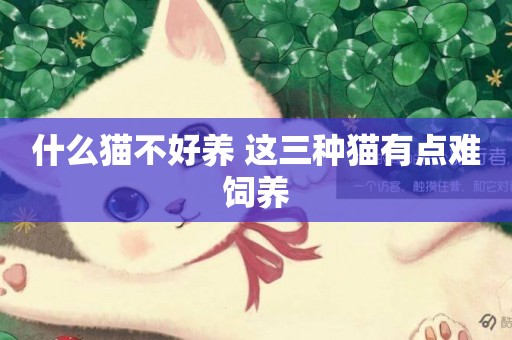 什么貓不好養 這三種貓有點難飼養