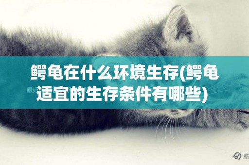 鱷龜在什么環境生存(鱷龜適宜的生存條件有哪些) 