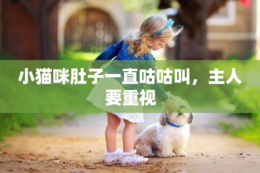 小貓咪肚子一直咕咕叫，主人要重視