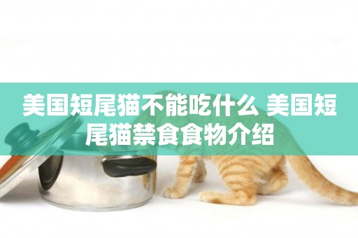 美國短尾貓不能吃什么 美國短尾貓禁食食物介紹