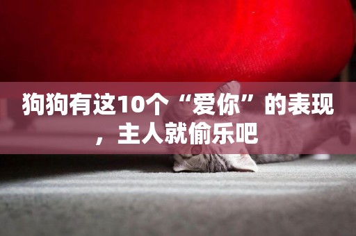 狗狗有這10個“愛你”的表現，主人就偷樂吧 