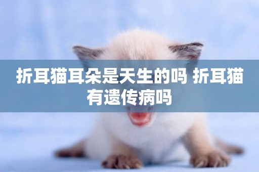折耳貓耳朵是天生的嗎 折耳貓有遺傳病嗎