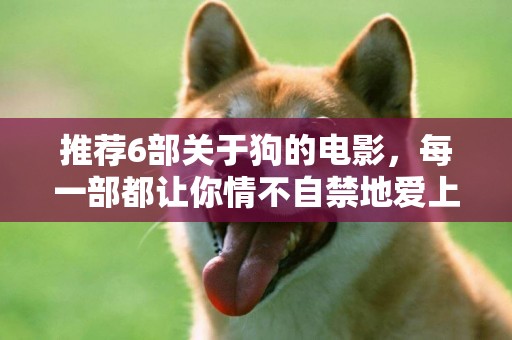 推薦6部關于狗的電影，每一部都讓你情不自禁地愛上狗（一） 