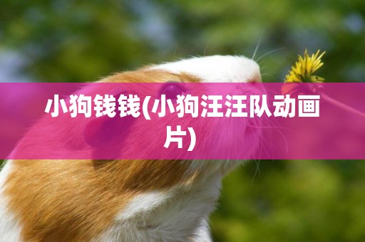 小狗錢錢(小狗汪汪隊動畫片) 