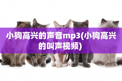 小狗高興的聲音mp3(小狗高興的叫聲視頻) 