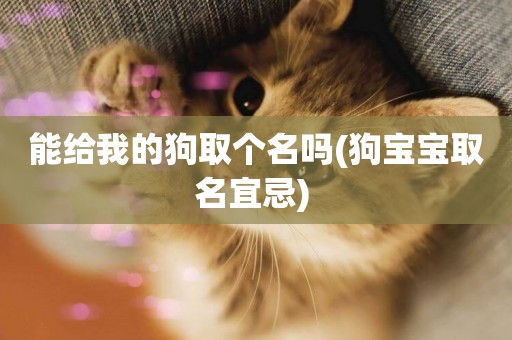 能給我的狗取個名嗎(狗寶寶取名宜忌) 
