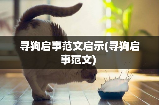 尋狗啟事范文啟示(尋狗啟事范文) 