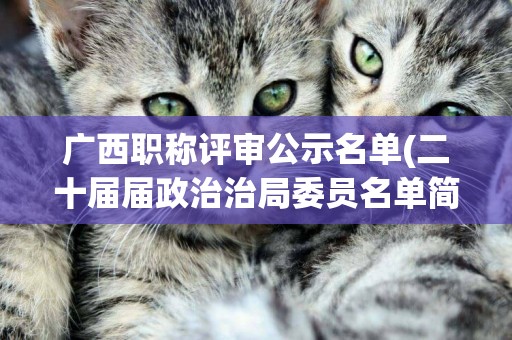 廣西職稱評審公示名單(二十屆屆政治治局委員名單簡歷) 