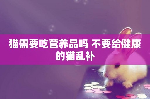 貓需要吃營養品嗎 不要給健康的貓亂補