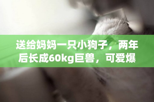 送給媽媽一只小狗子，兩年后長成60kg巨獸，可愛爆棚 