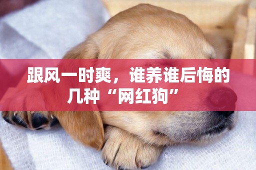 跟風一時爽，誰養誰后悔的幾種“網紅狗” 