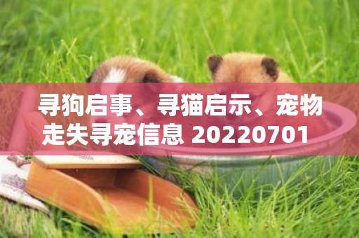 尋狗啟事、尋貓啟示、寵物走失尋寵信息?20220701 