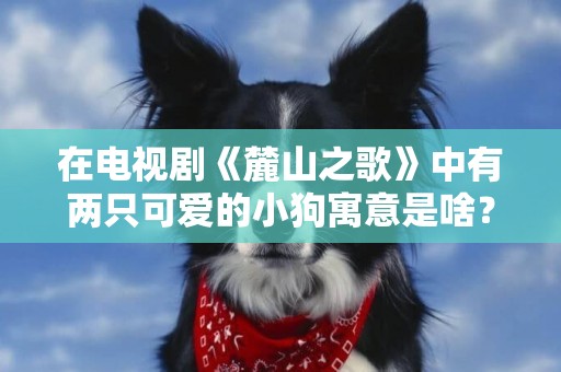 在電視劇《麓山之歌》中有兩只可愛的小狗寓意是啥？你知道嗎？ 