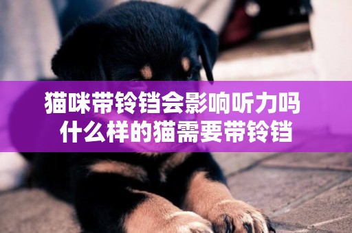 貓咪帶鈴鐺會影響聽力嗎 什么樣的貓需要帶鈴鐺 貓咪帶鈴鐺會影響聽力嗎 什么樣的貓需要帶鈴鐺