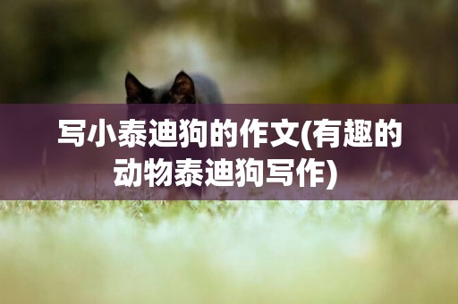 寫小泰迪狗的作文(有趣的動物泰迪狗寫作) 