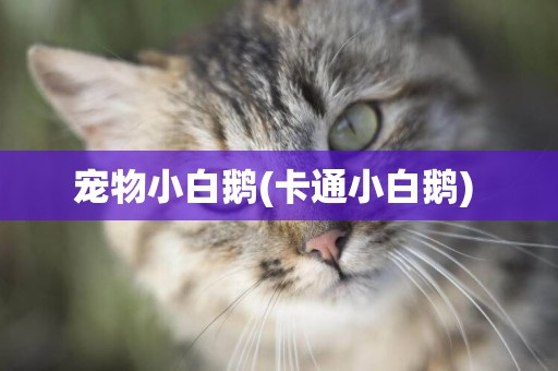 寵物小白鵝(卡通小白鵝) 